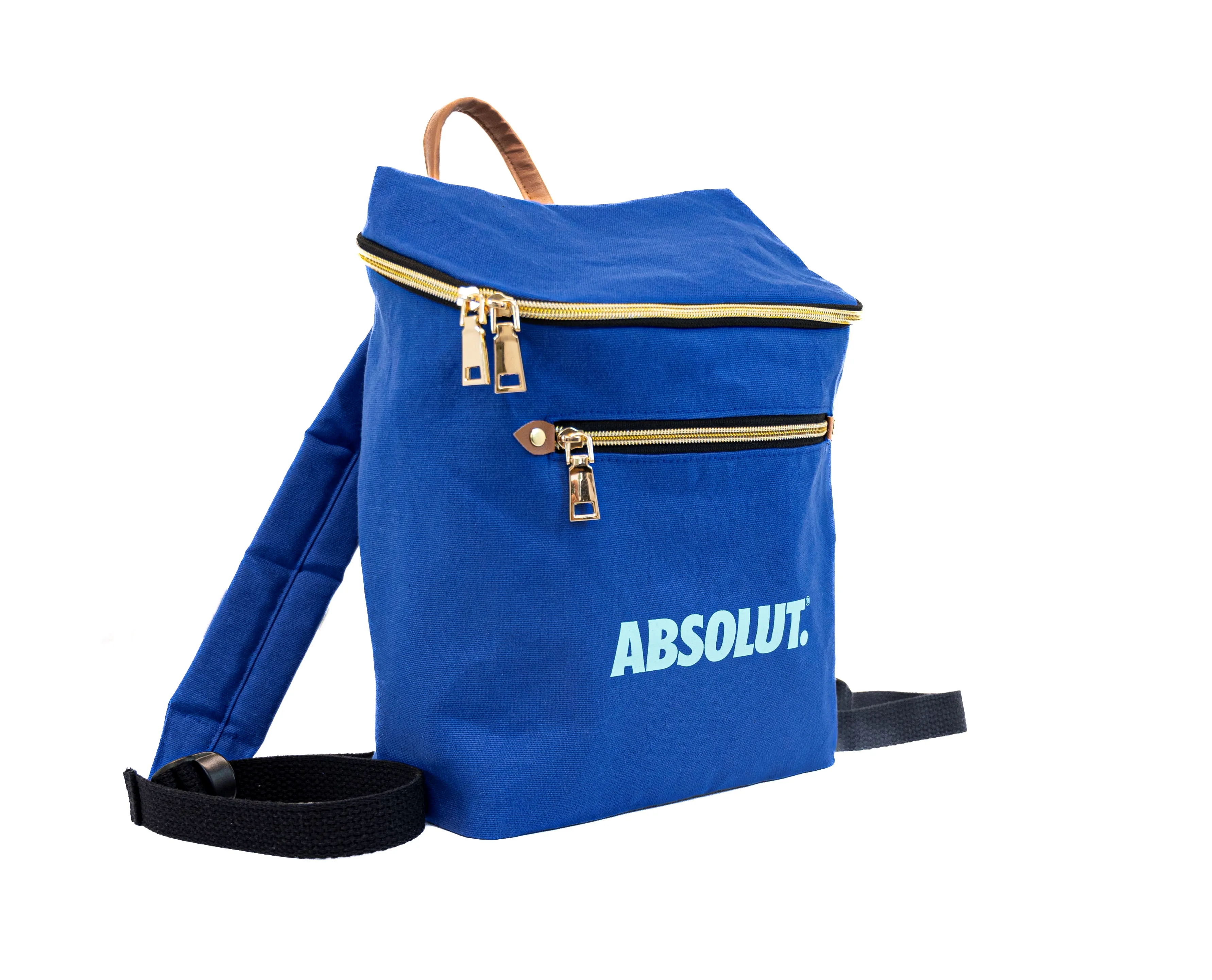 Custom Backpack 2