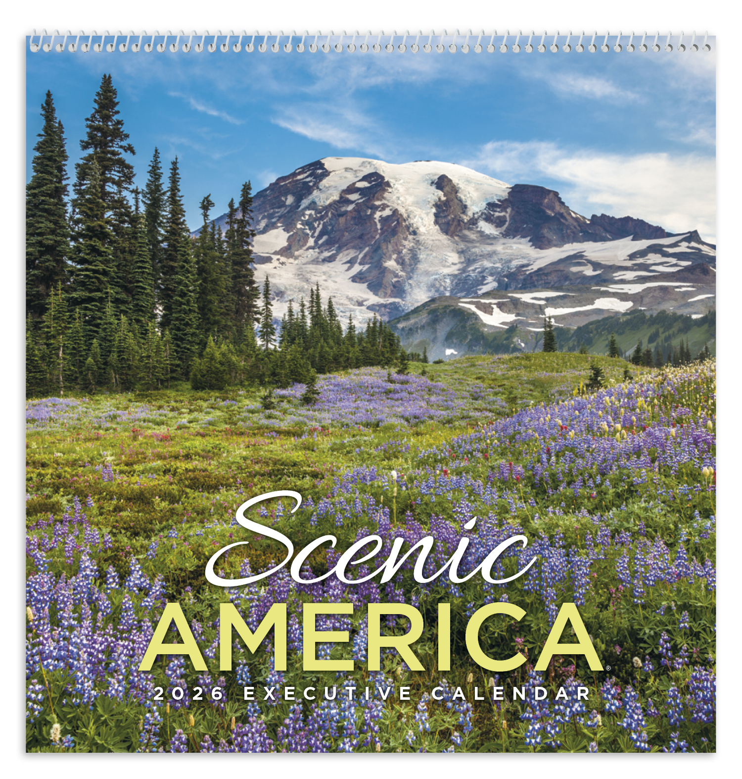 HotLine® Products Scenic America® Executive 16