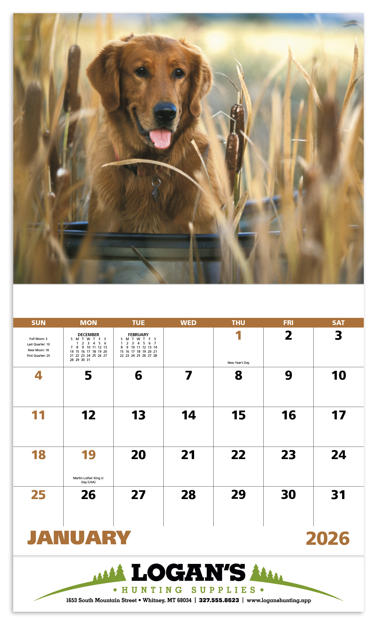 Good Value™ Sporting Dogs - Stapled Calendar 2