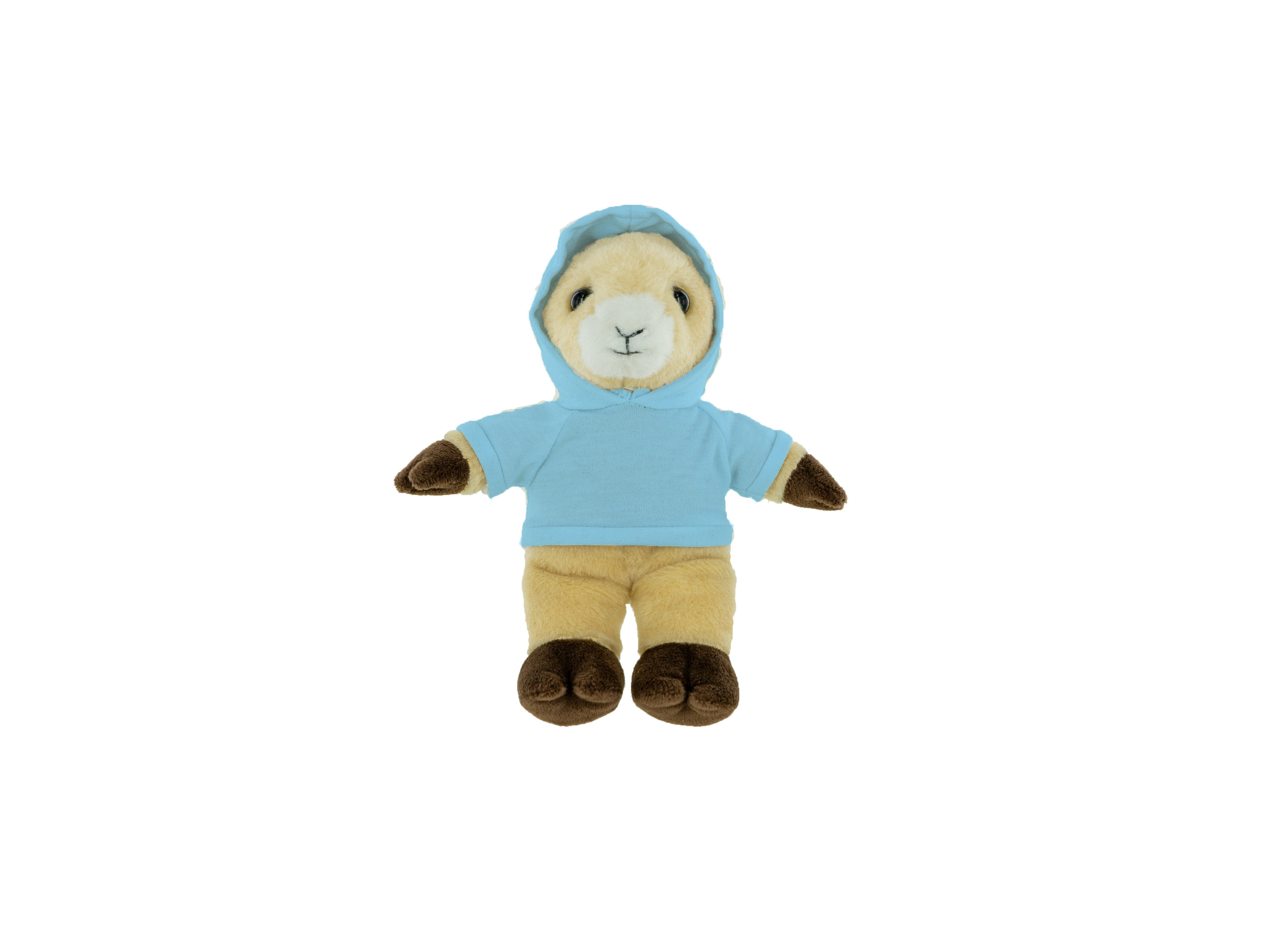 Plush Ram with Hoodie 2