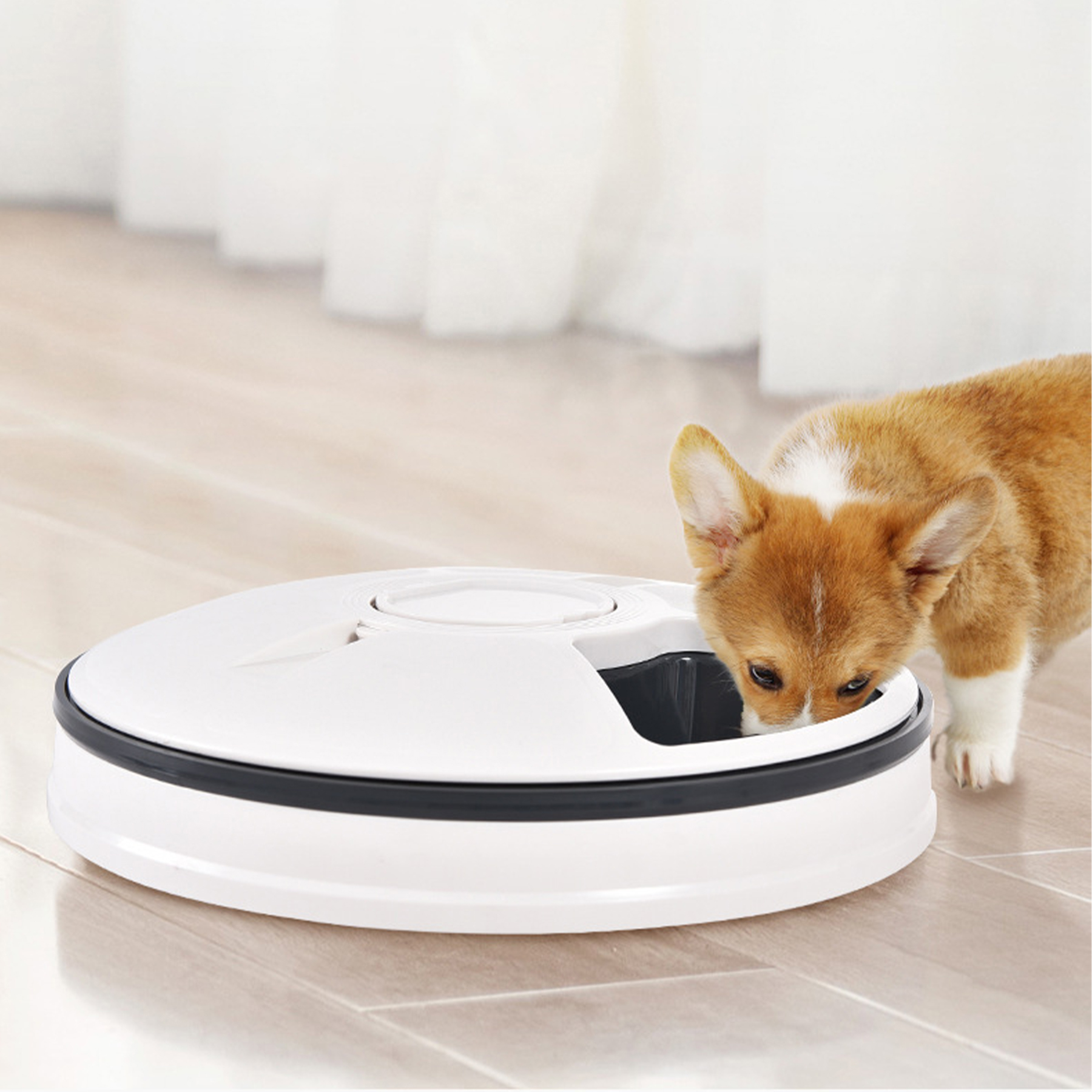 Abs Large Capacity Timed Pet Feeder 3