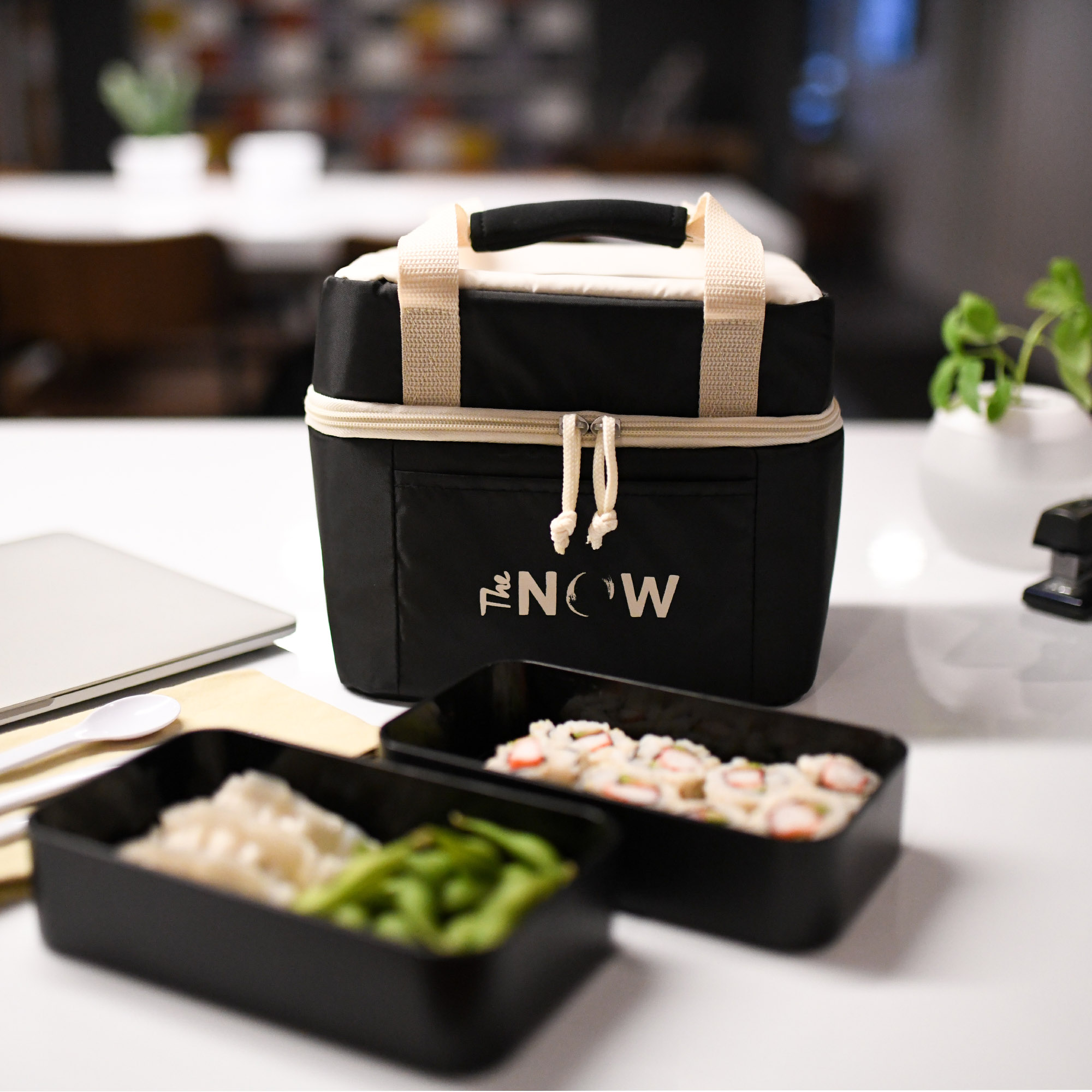 Bento Cooler 5