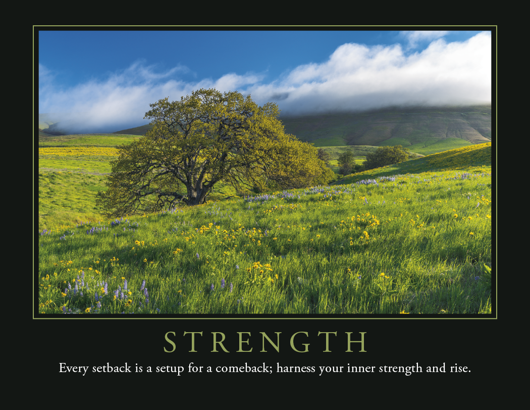 Good Value™ Two-Tone Utility Tote