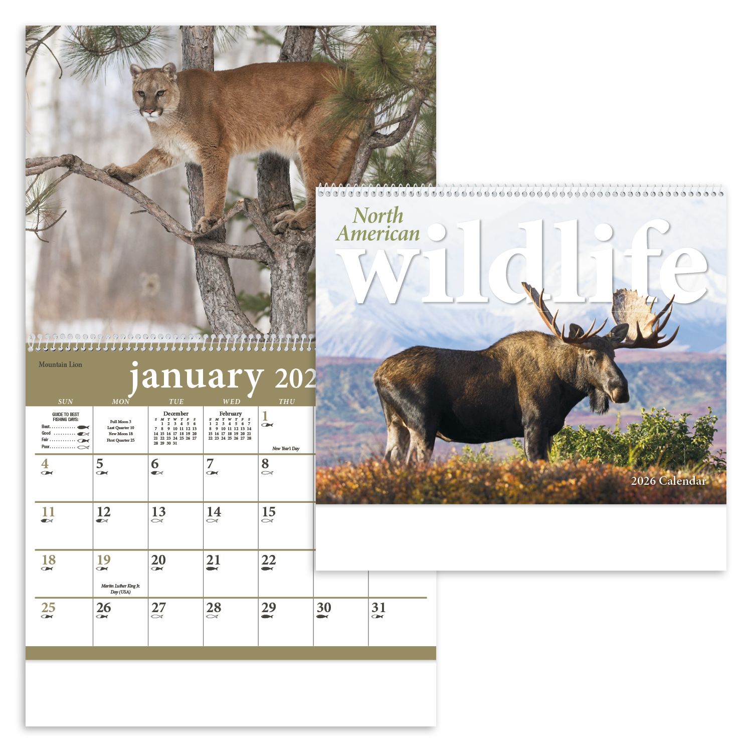 Triumph® Calendars North American Wildlife Calendar 28