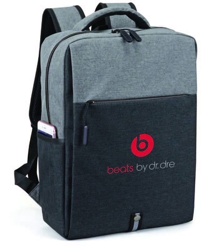 Deluxe Computer Backpack 1