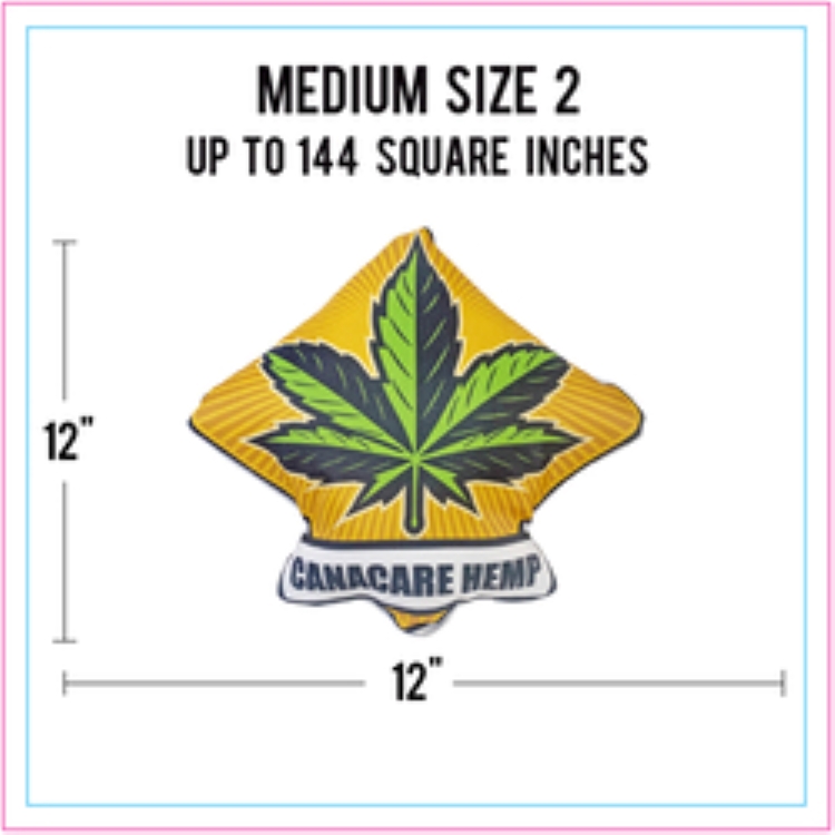 Medium Size 2 Full Color Life-Like Pillow (Up to 144 square inches) 2