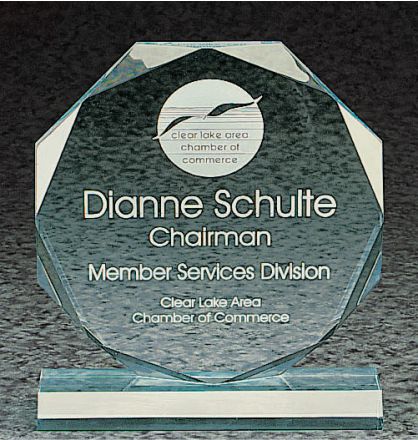 Acrylic Octagon Award 2