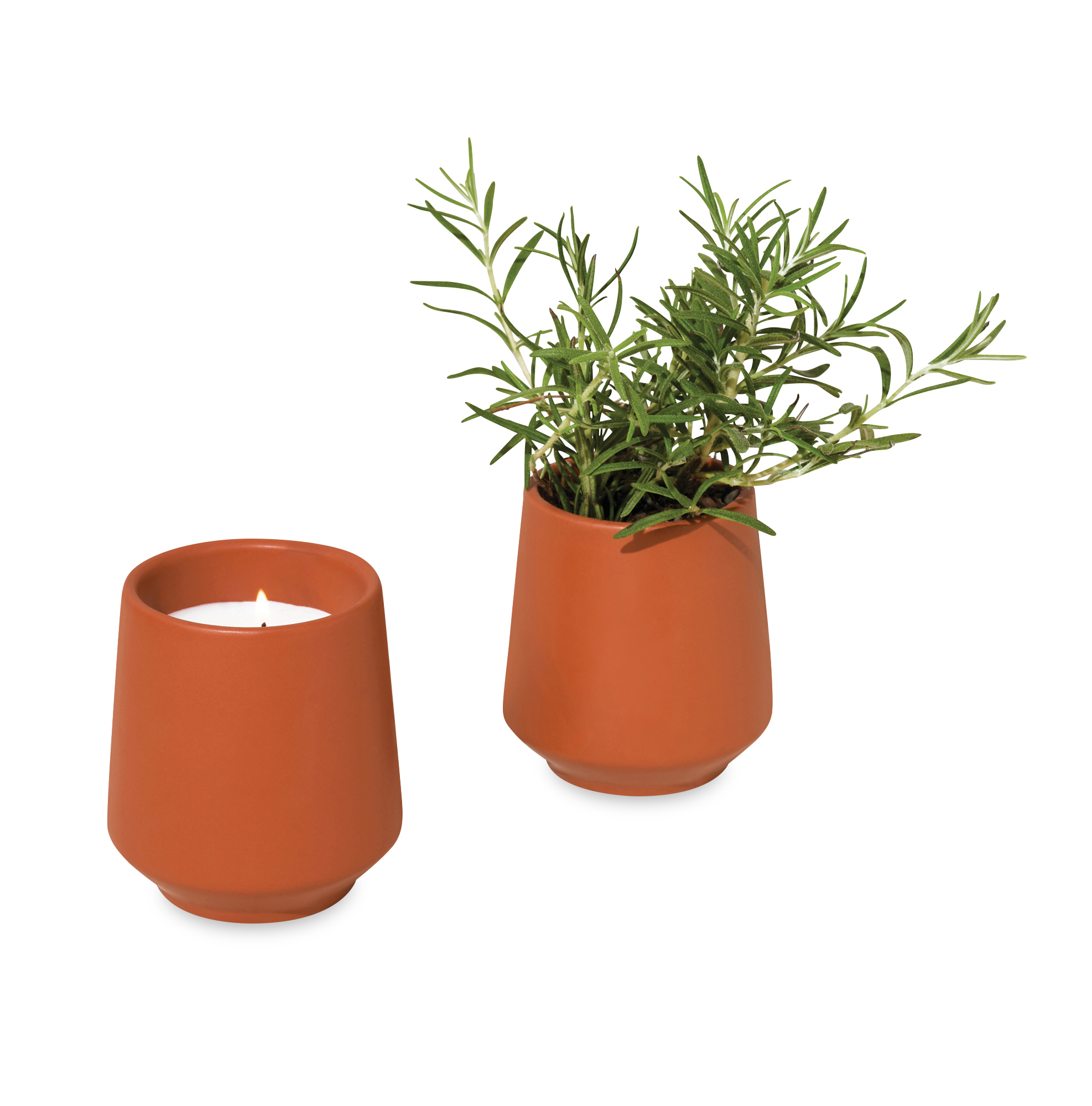 Modern Sprout® Rooted Candle 34
