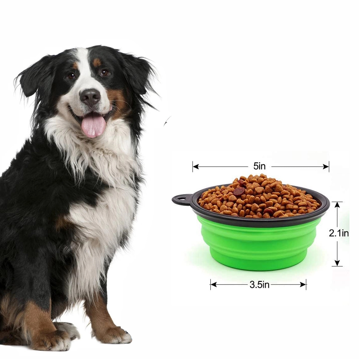 Collapsible Silicone Pet Dog Travel Bowl 4