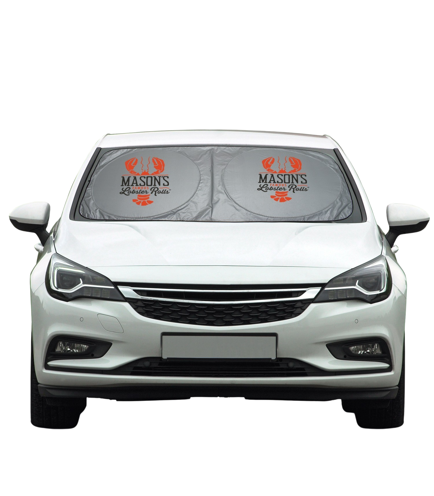 Dual Panel Car Shade