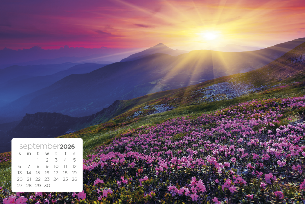 Triumph® Calendars Simplicity Large Desk Calendar 12