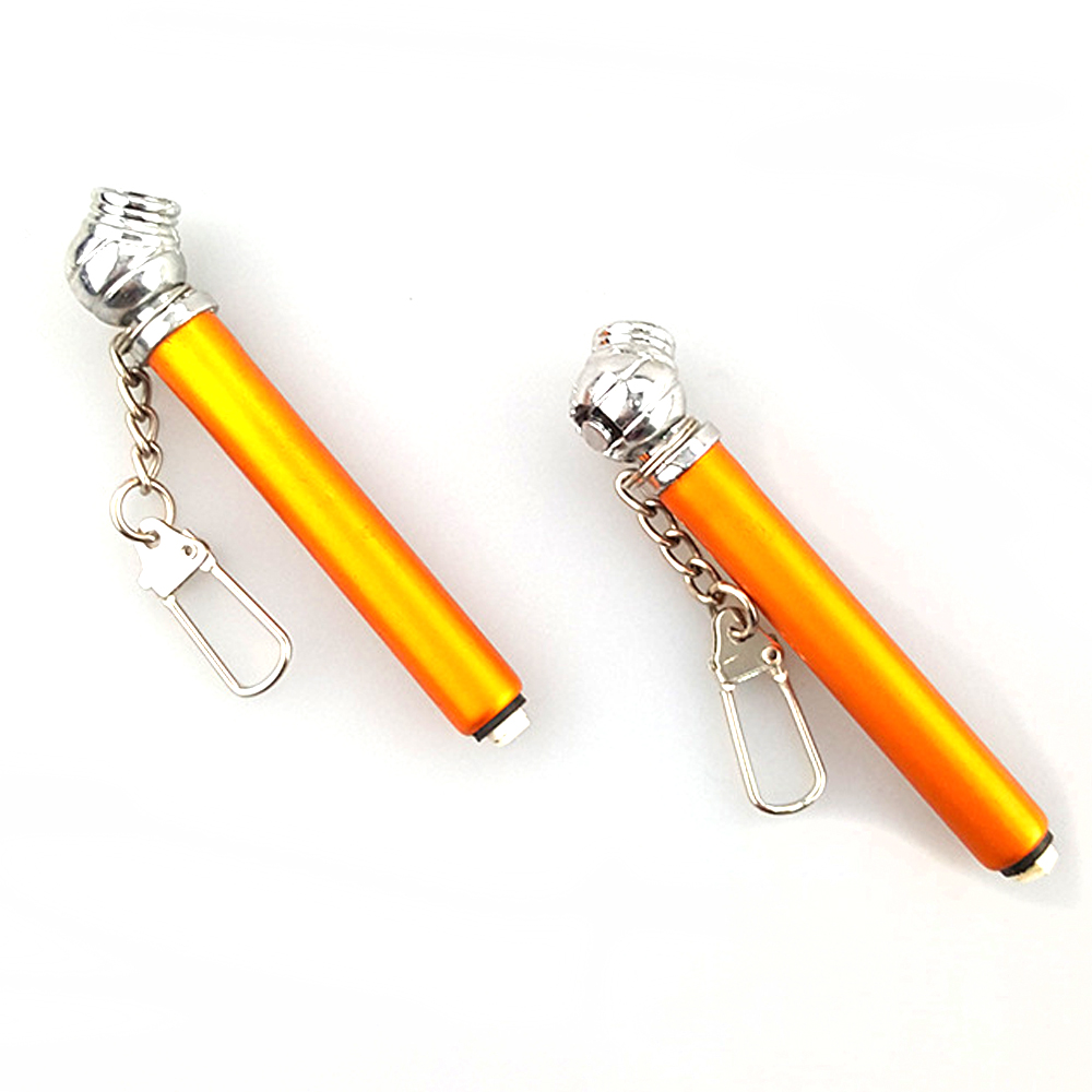 Mini Tire Gauge Key Chain 4