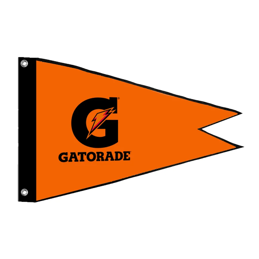 Burgee Flag 2