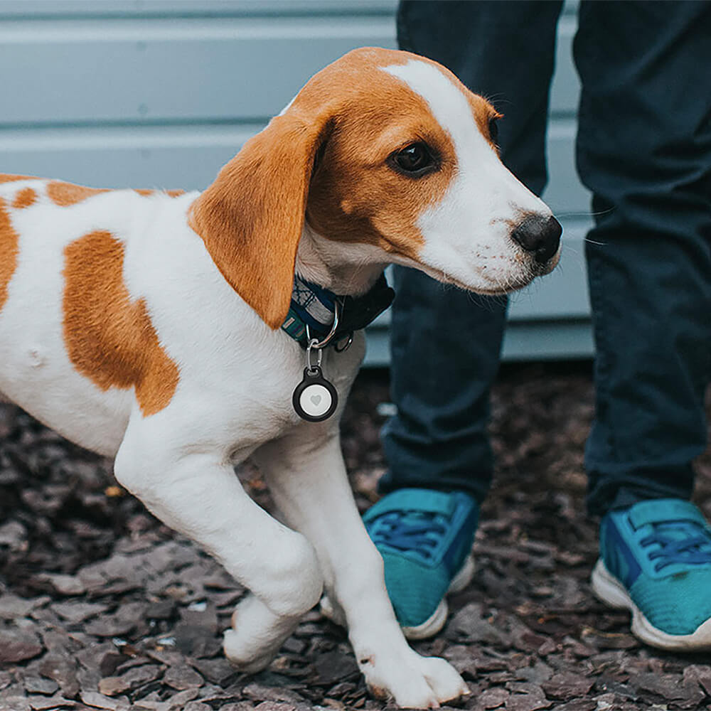 Secure Holder With Keyring For Apple Airtag