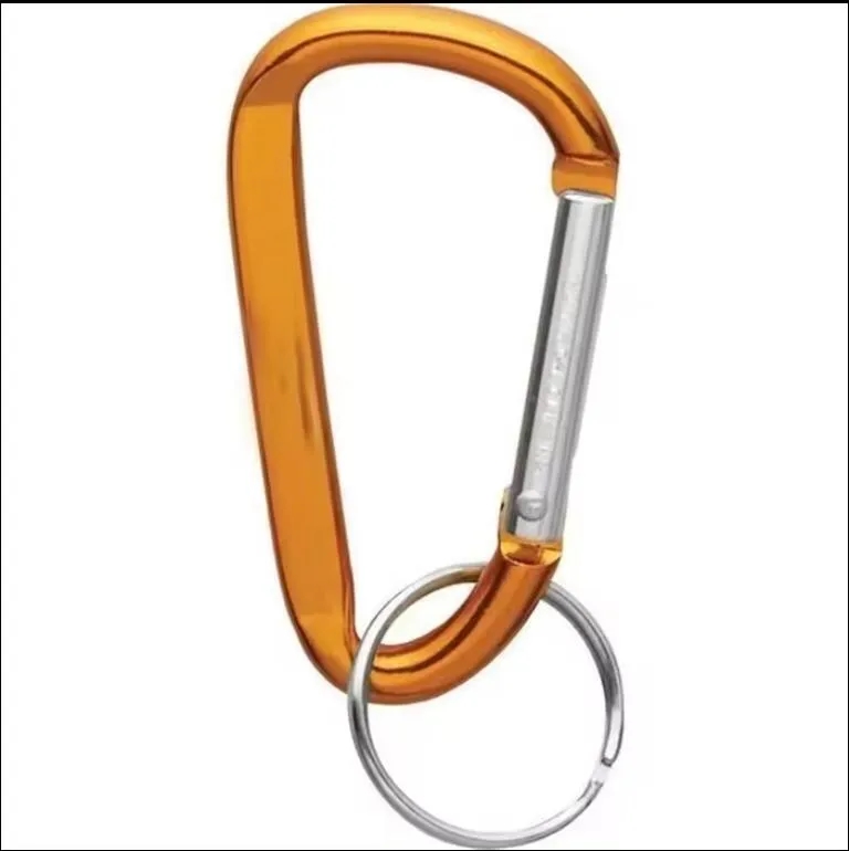 Carabiner keychain 2