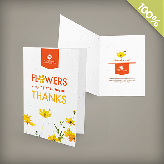 Double-Sided Medium Plantable Greeting Cards 1
