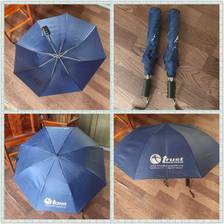 Umbrella with Auto Open 2