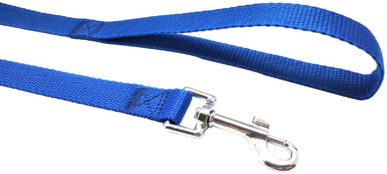 Nylon Dog Leash 2