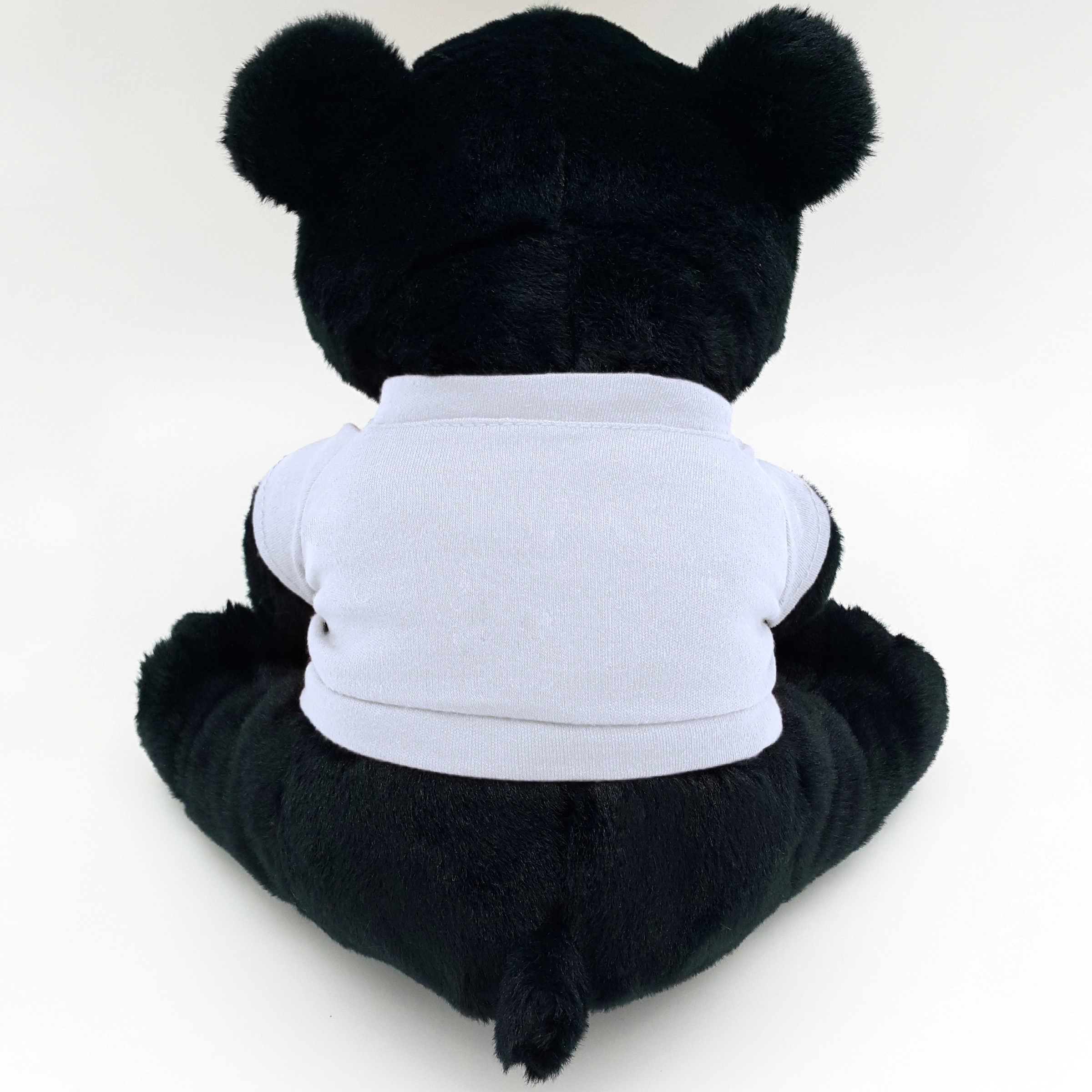 10" Black Bear 5