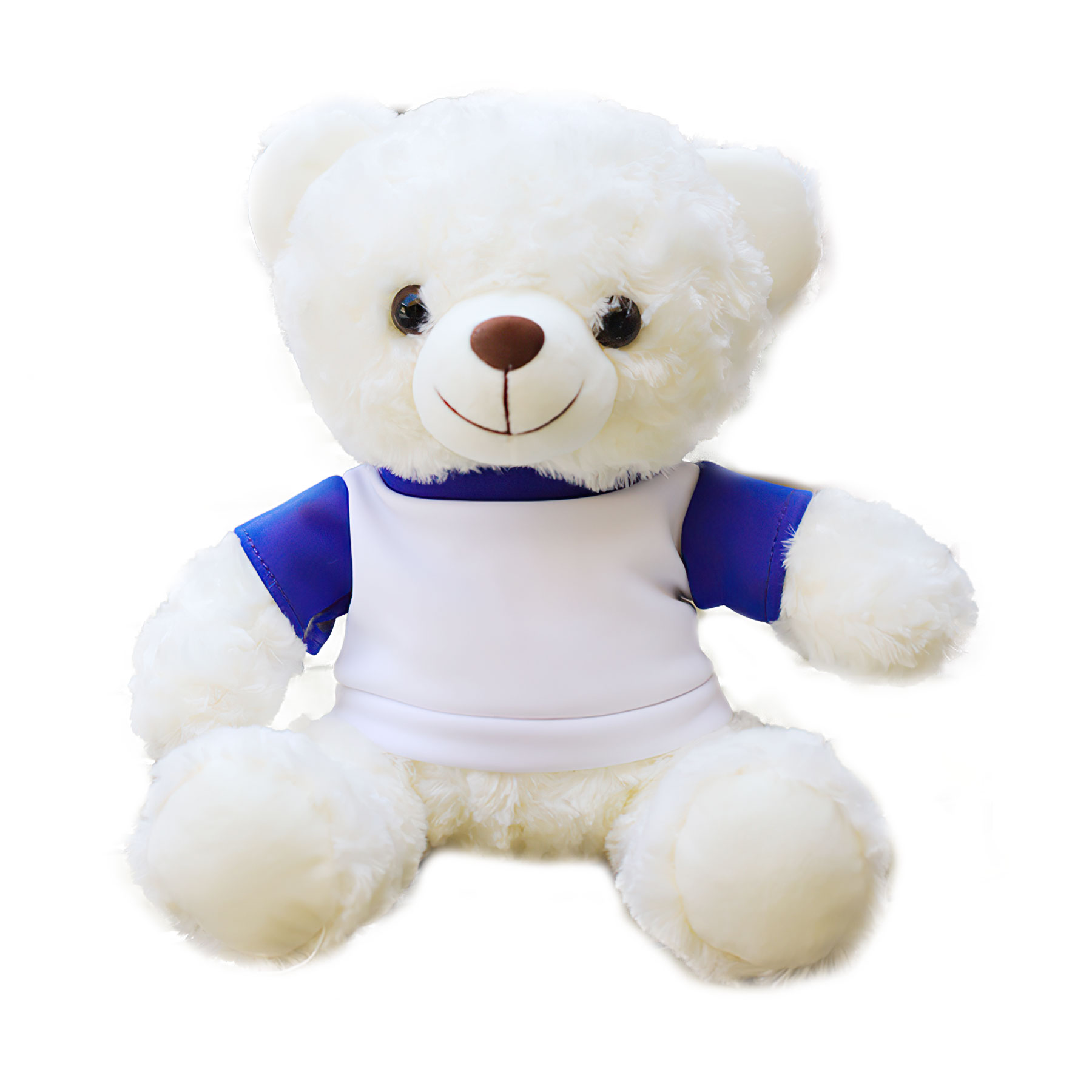 11'' Seated Style Stuffed Plush Teddy Beat With T-shirt 8