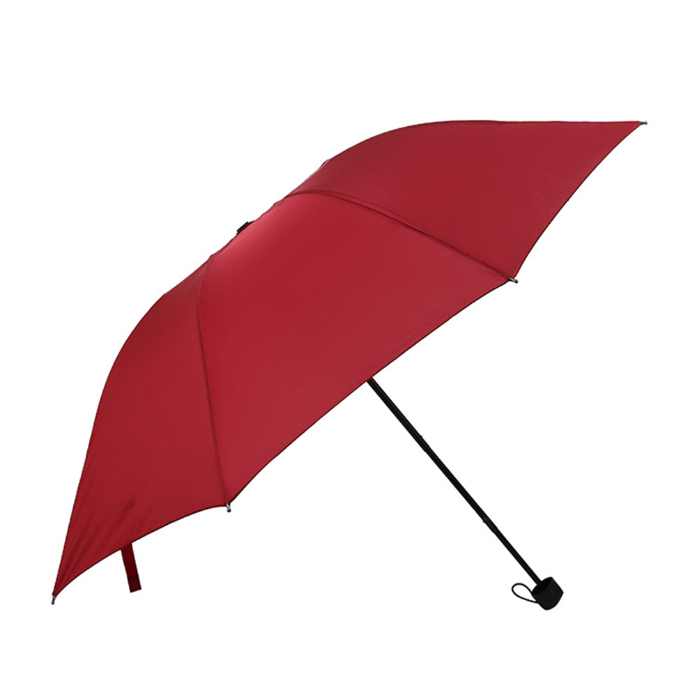 Folding Umbrella 2