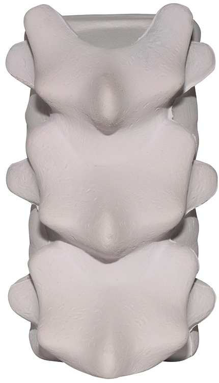 Spine Stress Reliever 6