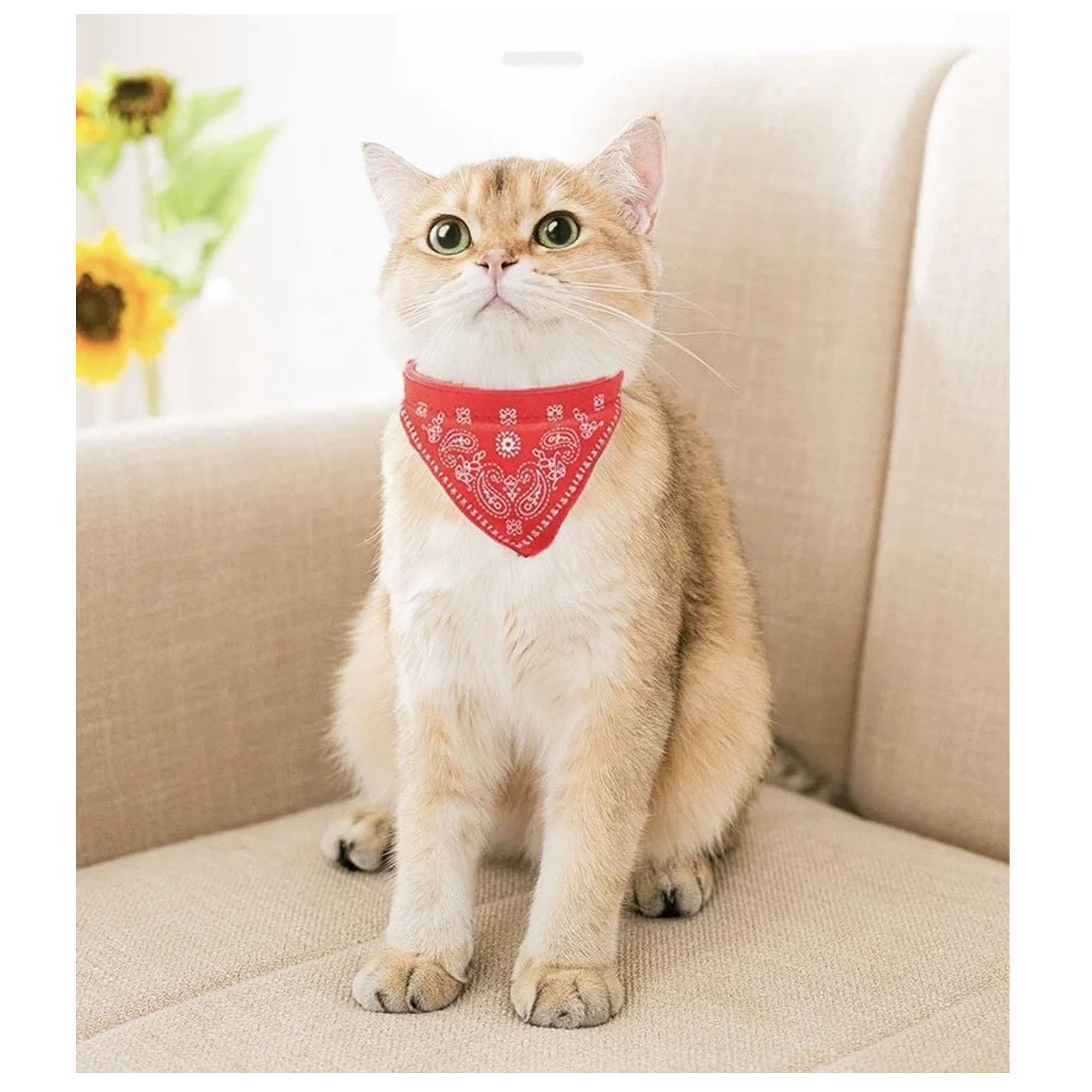 Stylish Triangle Scarf for Pets with Bell Accessory 2