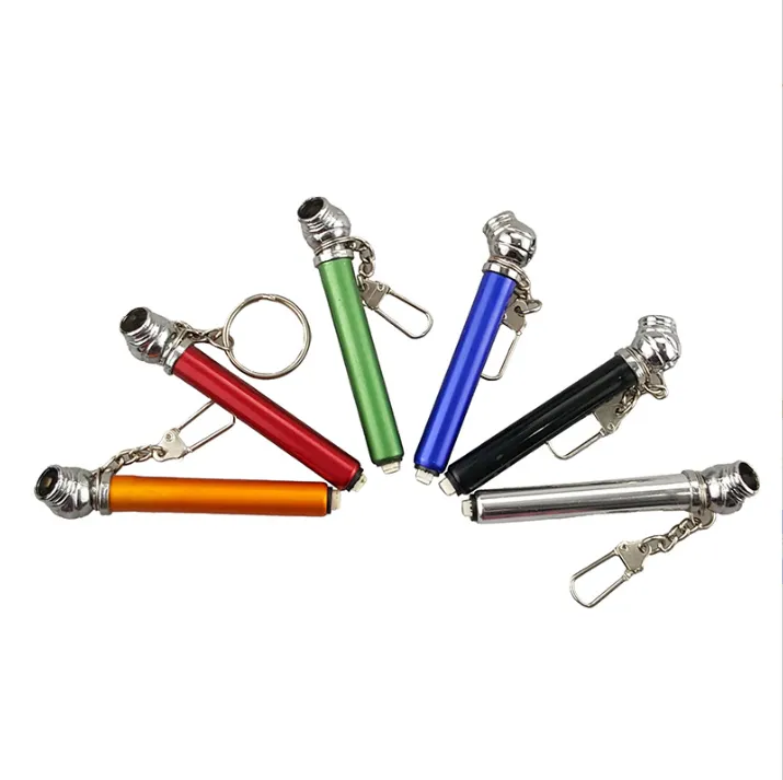 Mini Tire Gauge Key Chain 4