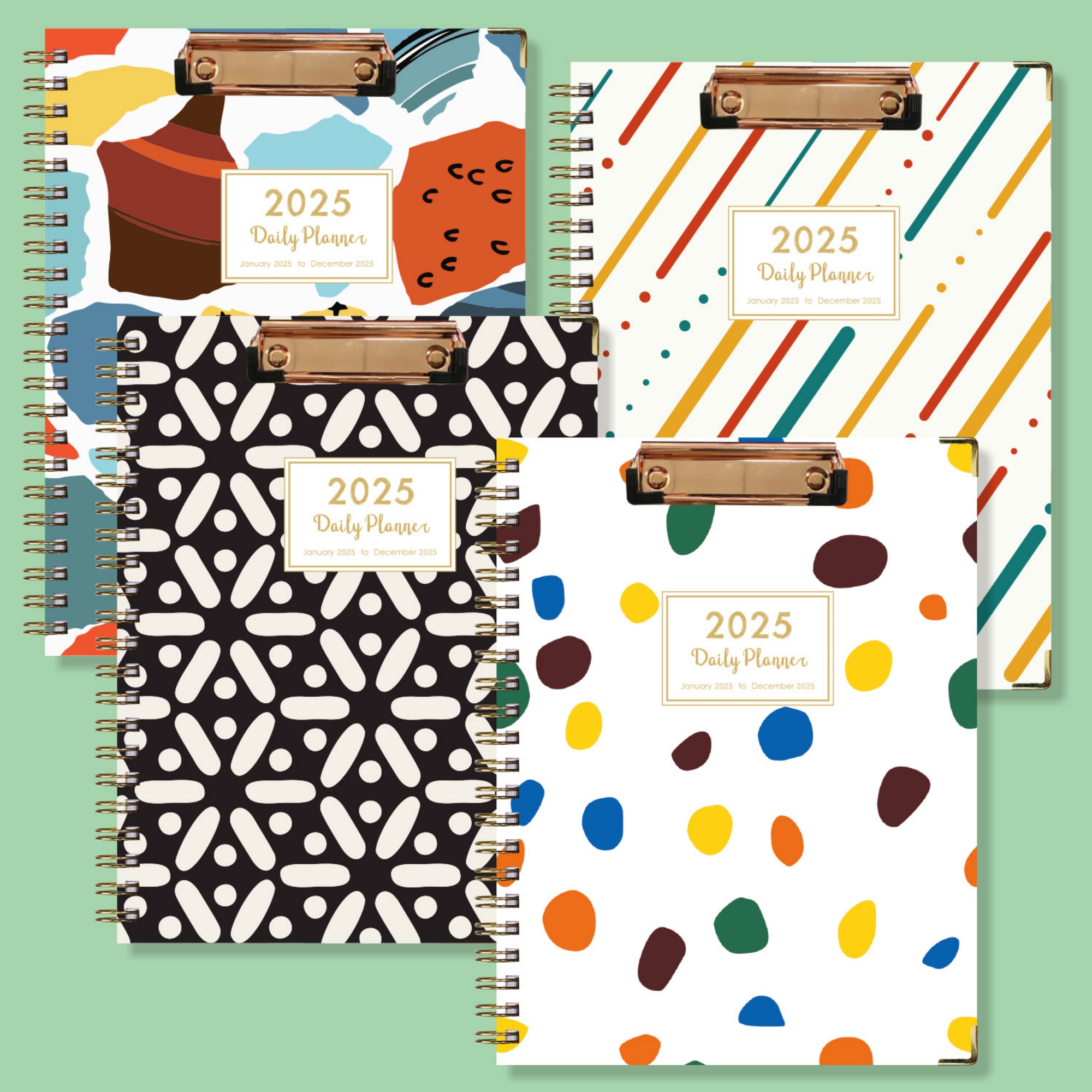 2025 Daily Planner 6