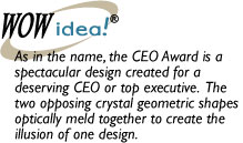 CEO Award 10
