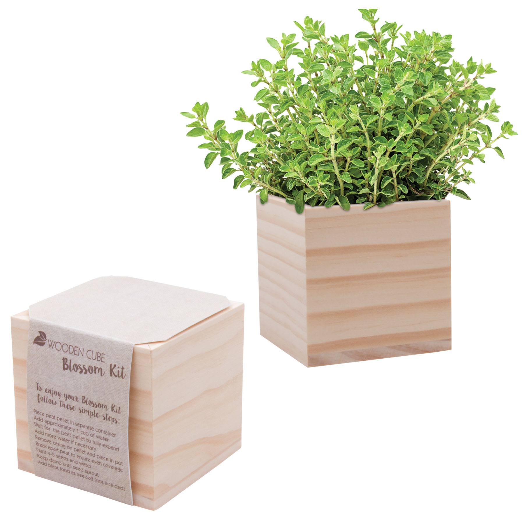 Wooden Cube Blossom Kit 7