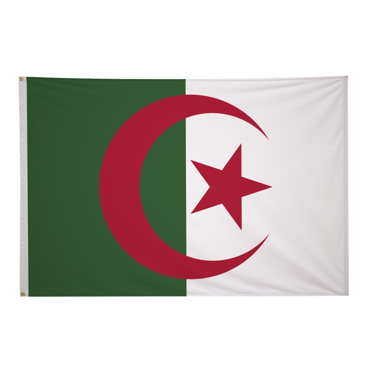 4' x 6' International Flags 98