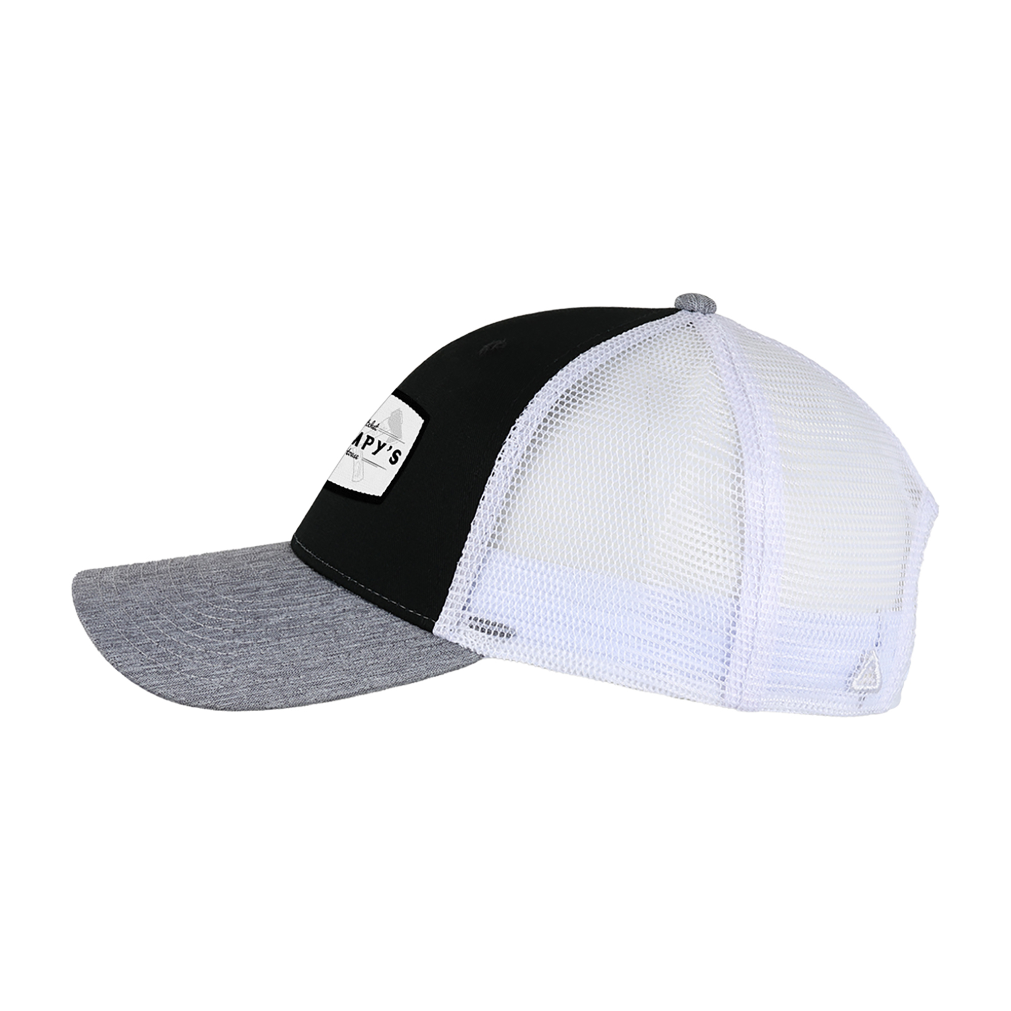 Ahead Brant Cap 21