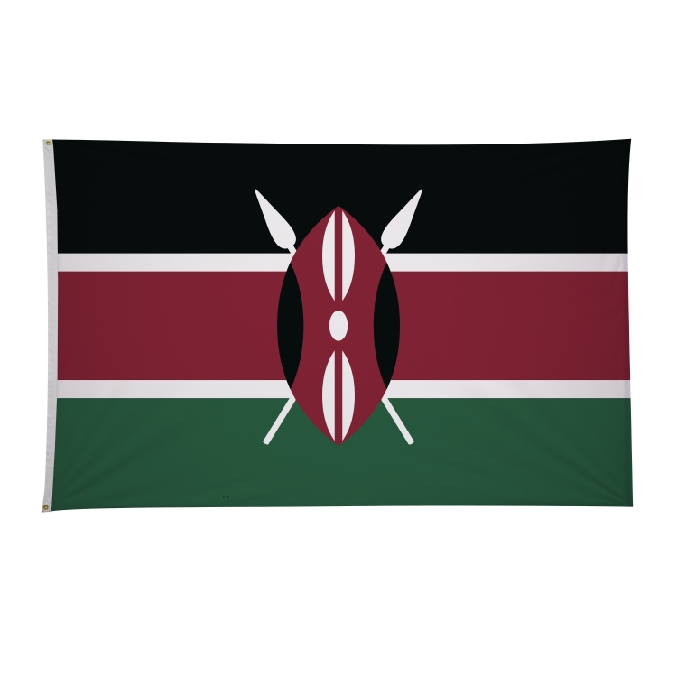 5' x 8' International Flags 94
