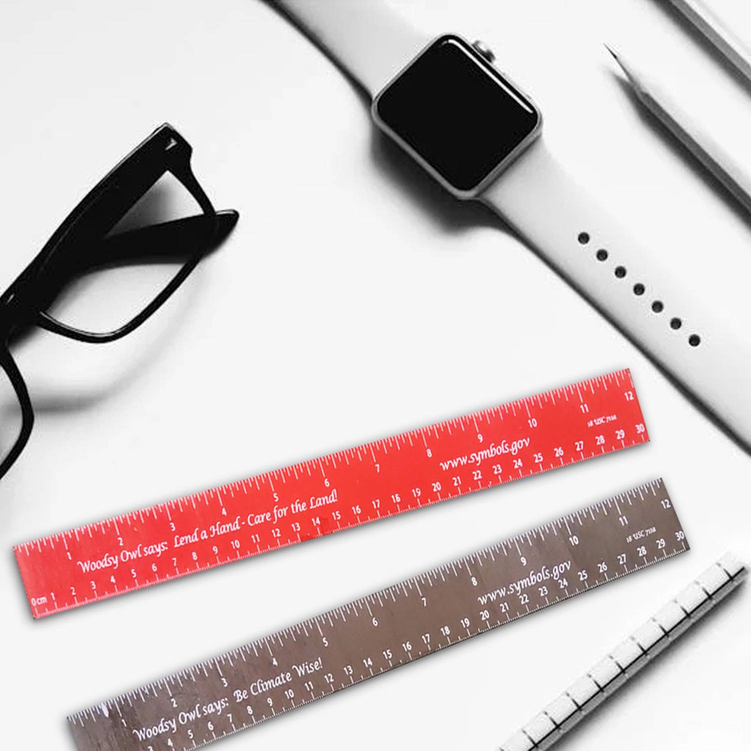 12" WOOD RULER 6