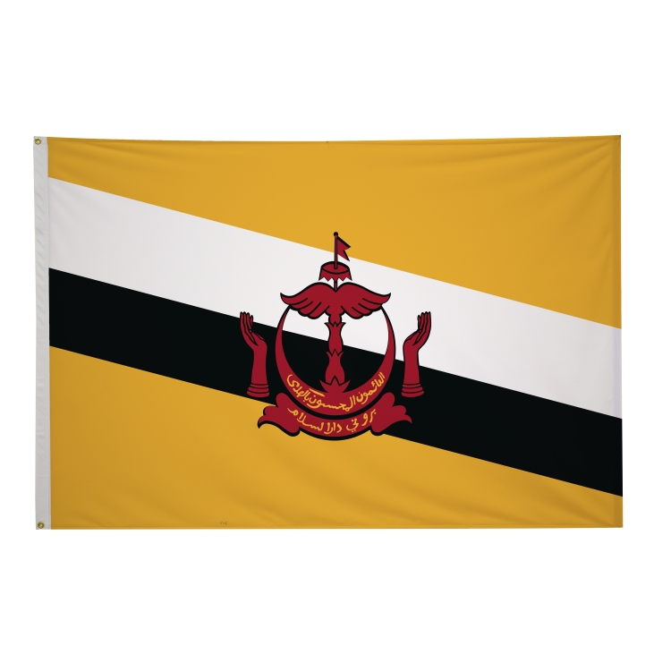 4' x 6' International Flags 186