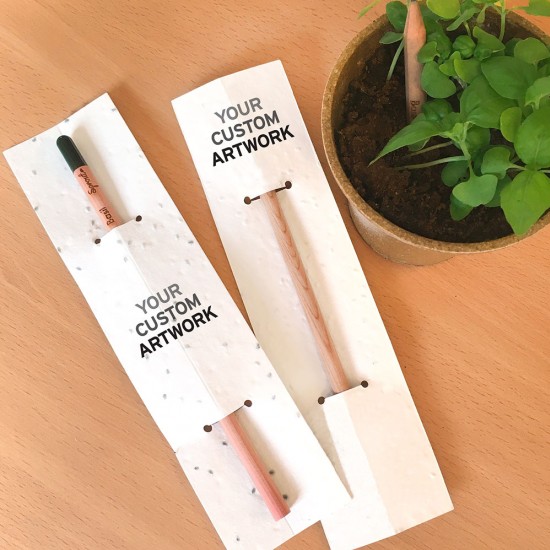 Sprout Pencil With Double-Sided Basil Seed Paper 6