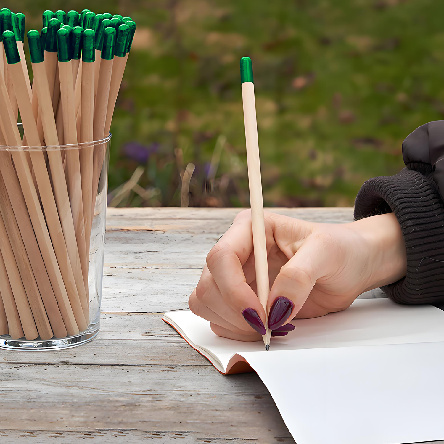 Customized daisy seed germination pencil 5