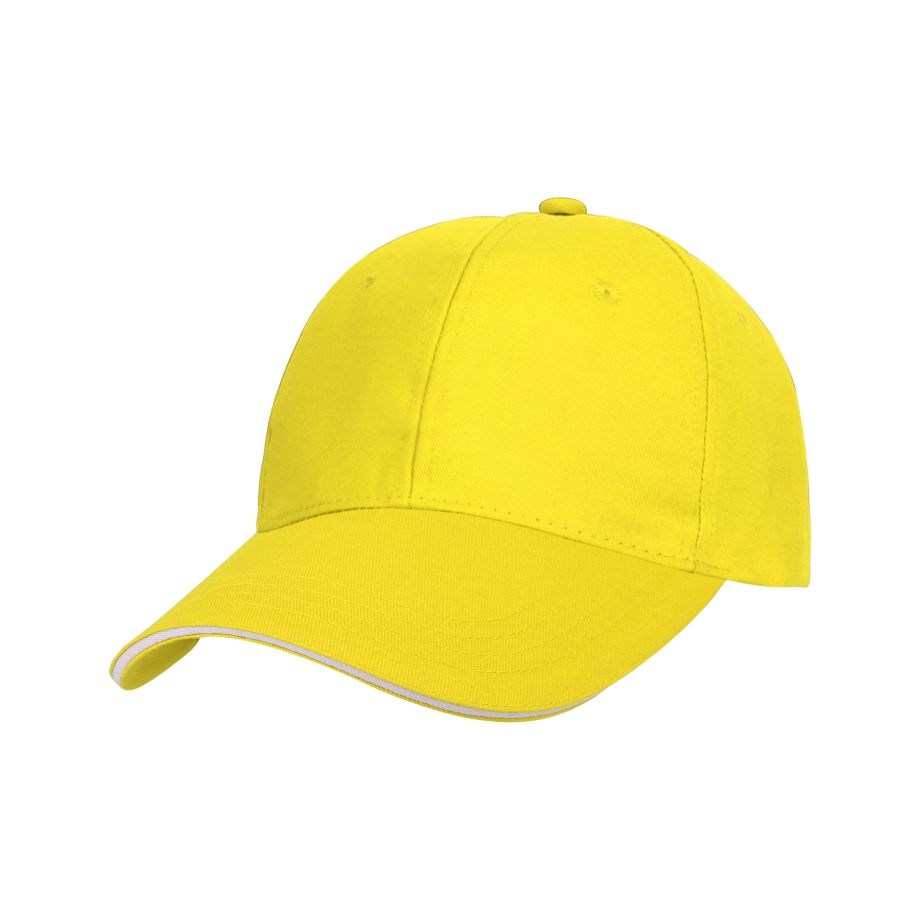 Structured Cotton Twill Sandwich Cap 14