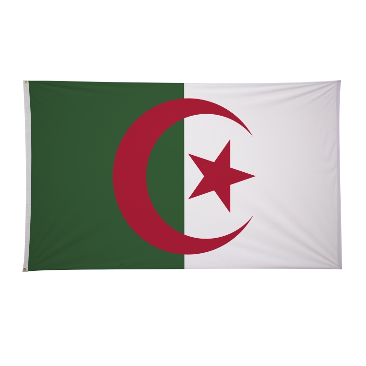 6' x 10' International Flags 5