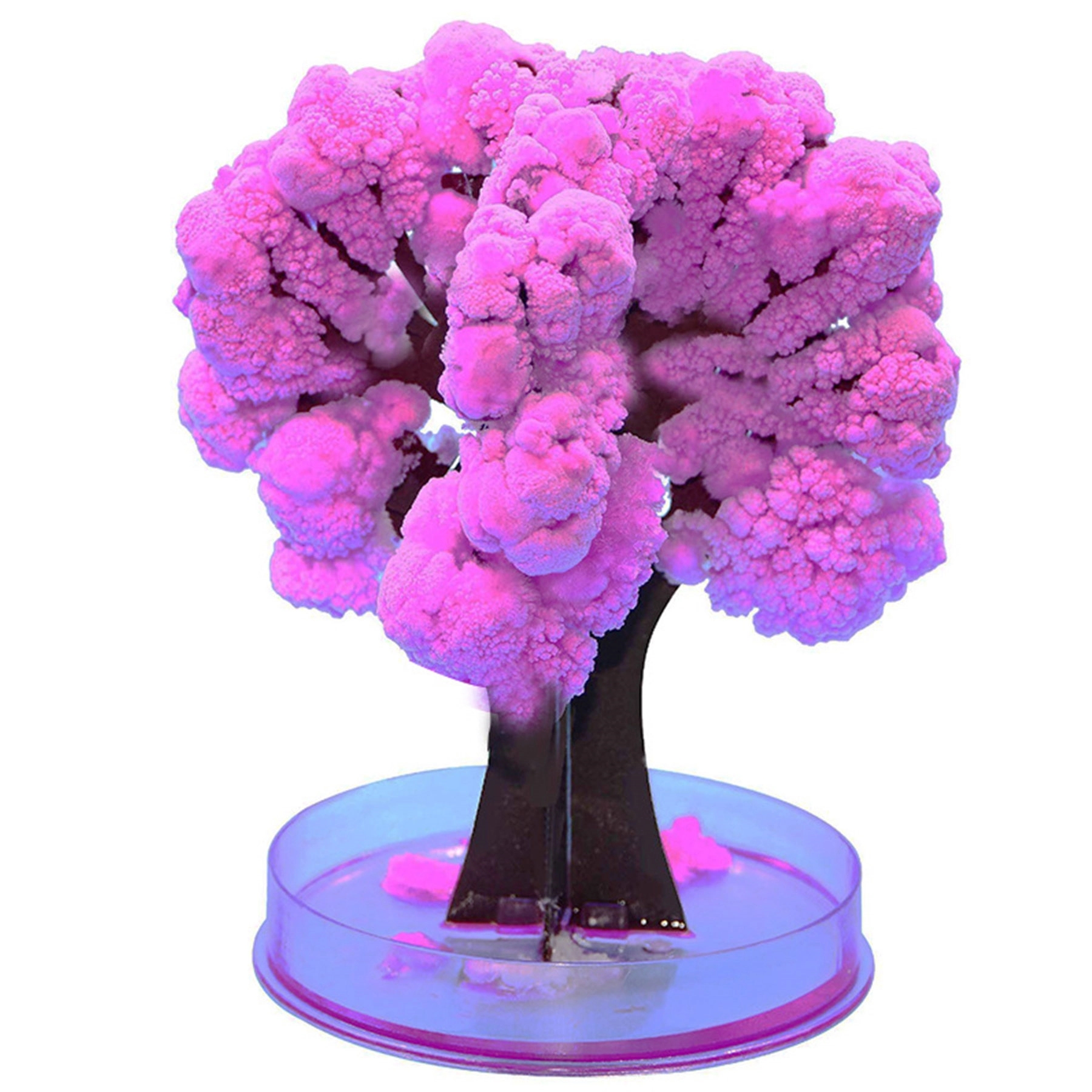 Magic Paper Growing Tree 6