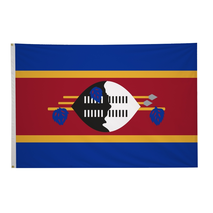 4' x 6' International Flags 231