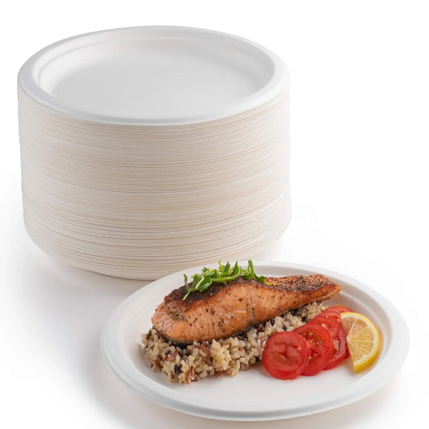 Disposable Paper Plates 2