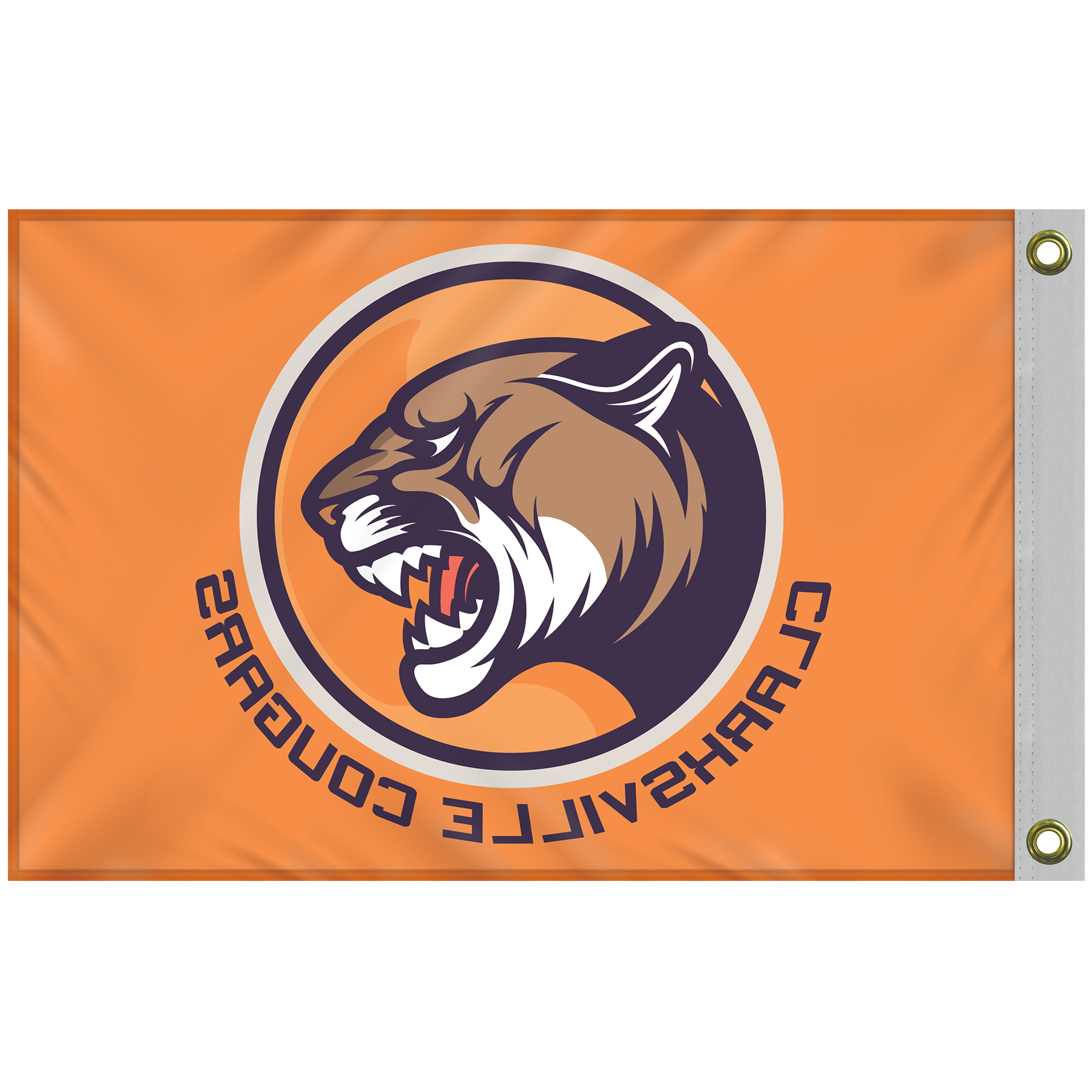 Deluxe Kit with 2' x 3' Flag and Silver Bracket 4