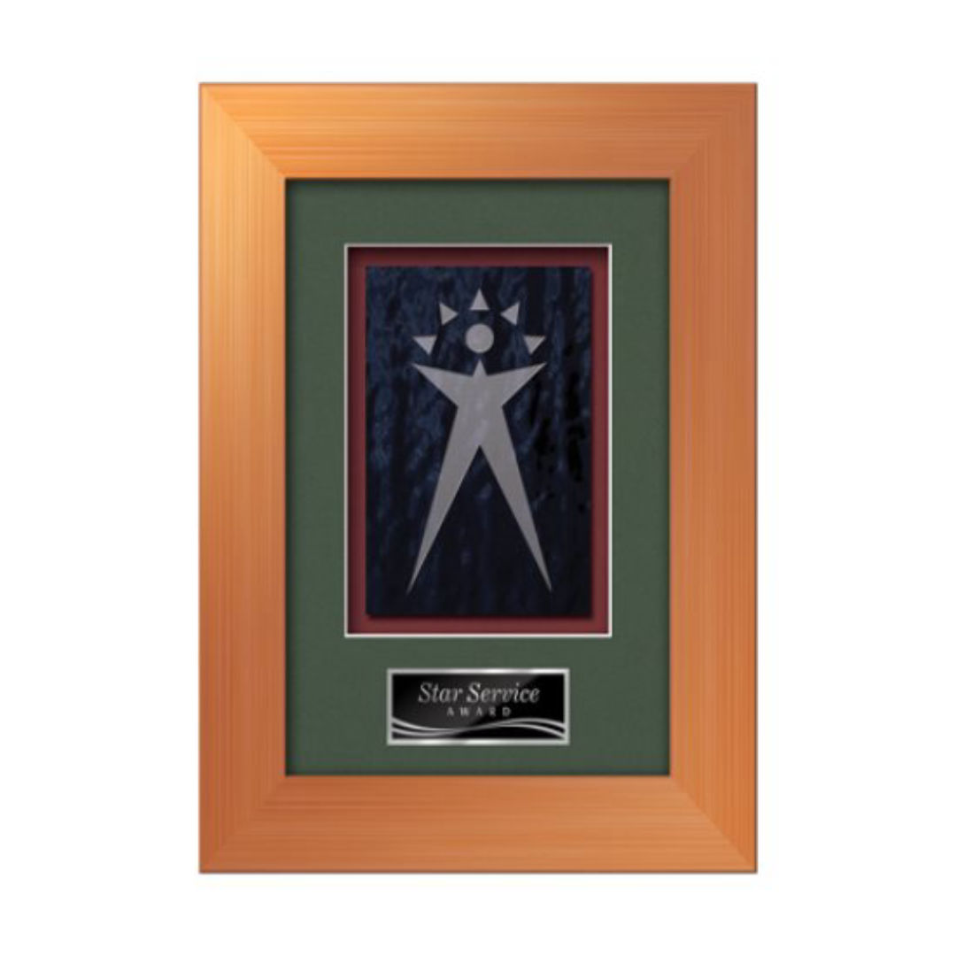Premier -  Bronze 1