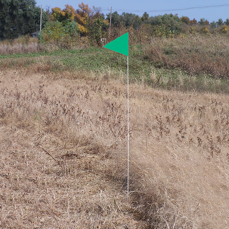 Solid Color Green Pennant Field Flag w/White Staff 3
