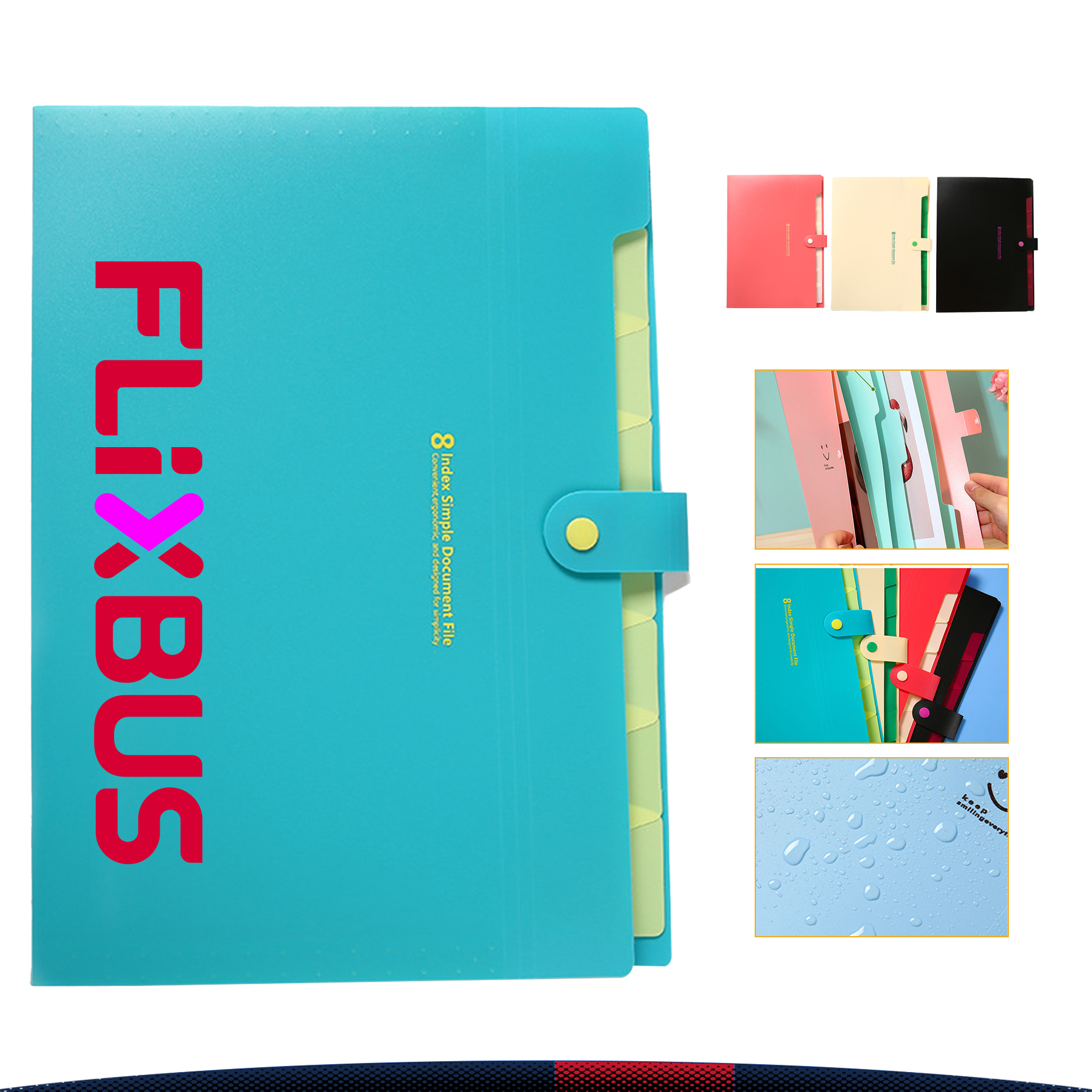 Accordion File Organizer 4