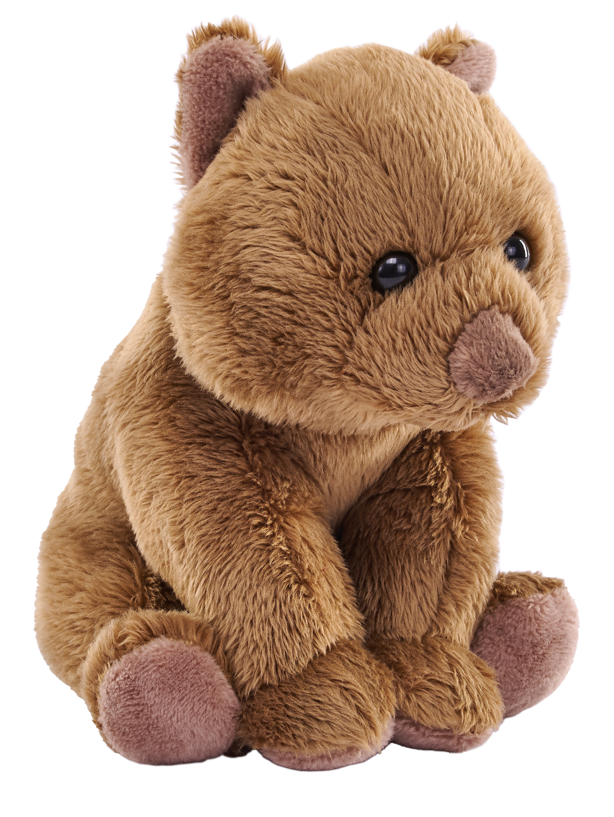 5" Pocketkins Eco Wombat 2