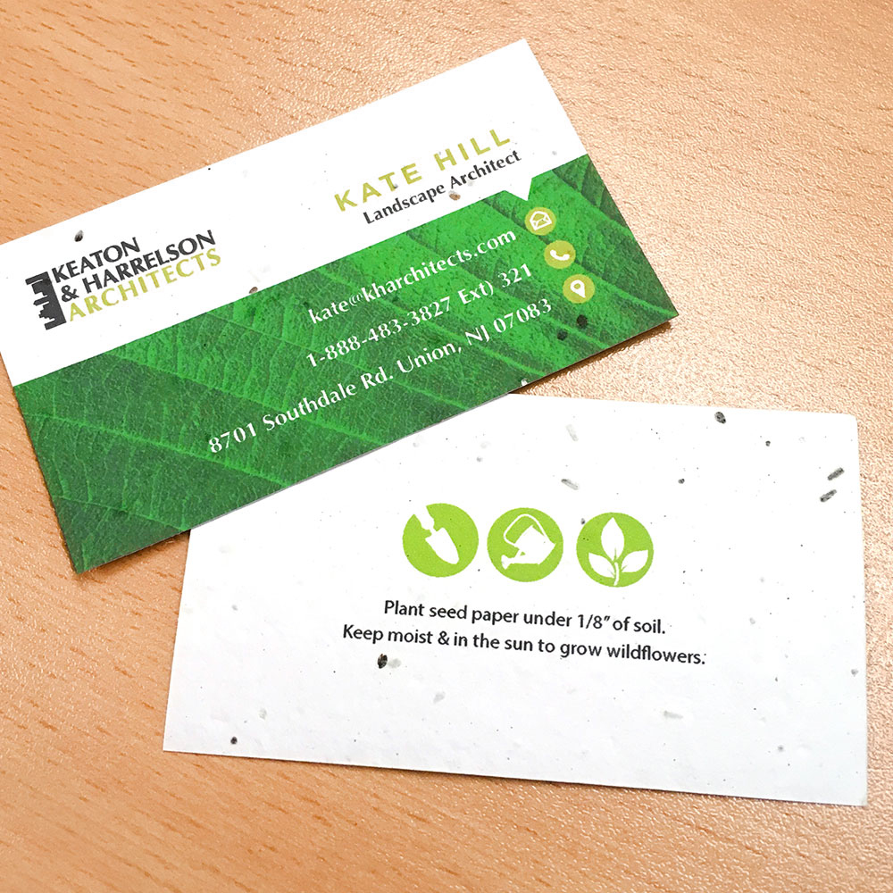 Eco Professional Seed Paper Business Cards 3
