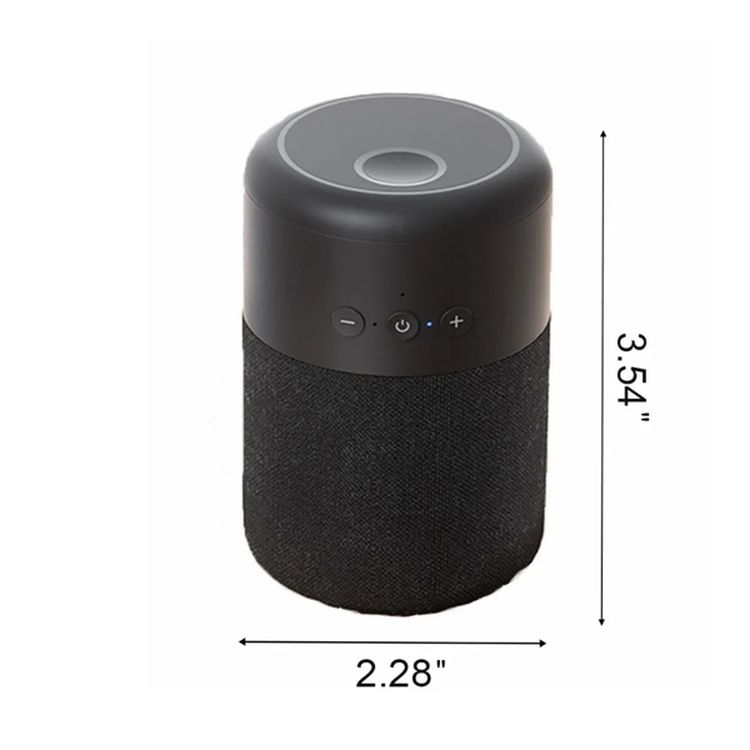 2 in 1 Portable Wireless Bluetooth Speaker and Earbuds 2